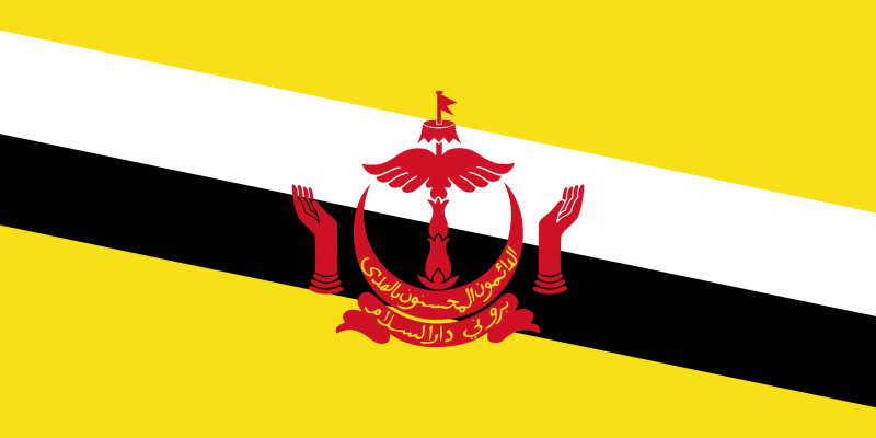 پرونده:Flag of Brunei.png
